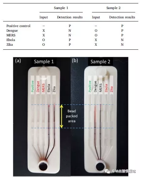 使用微流控芯片進(jìn)行實(shí)際樣品的檢測的結(jié)果
