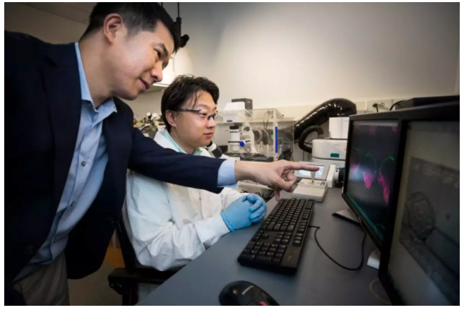 機(jī)械工程副教授傅劍平和機(jī)械工程研究員