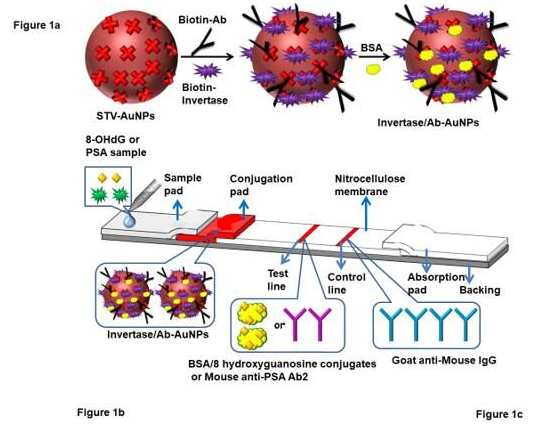 “微流控+智能手機(jī)血糖儀” 打造非血糖分子檢測平臺，量化評估DNA過氧化損傷