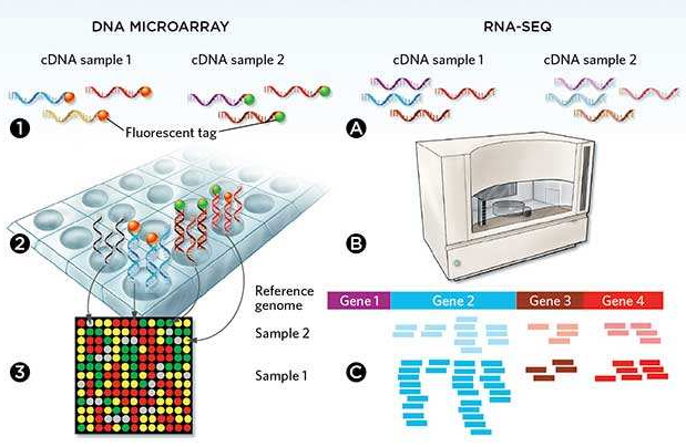 微流控自動(dòng)化技術(shù)革新RNA-Seq文庫(kù)構(gòu)建流程 --- FLUIDIGM發(fā)布更高效、更節(jié)約成本的Advanta RNA-Seq NGS 文庫(kù)構(gòu)建解決方案