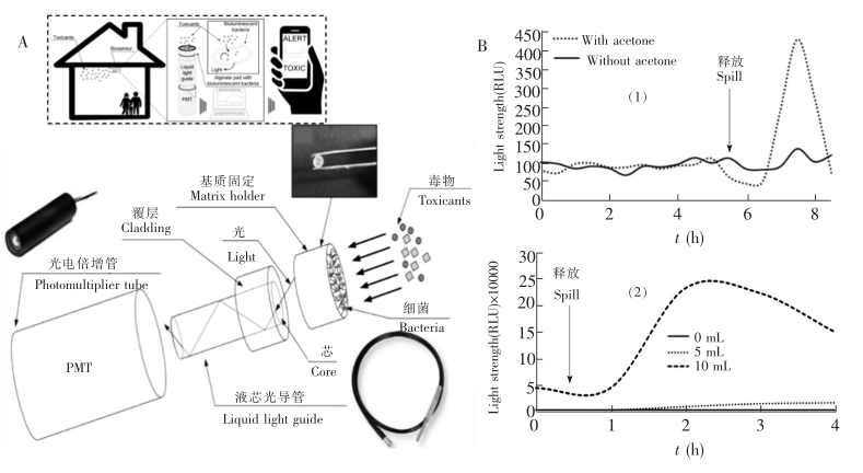 空氣毒性檢測(cè)傳感器示意圖及其對(duì)丙酮和三氯甲烷的檢測(cè)結(jié)果