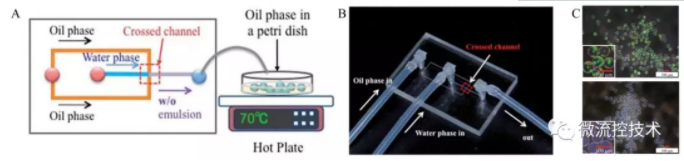 微球制作過(guò)程