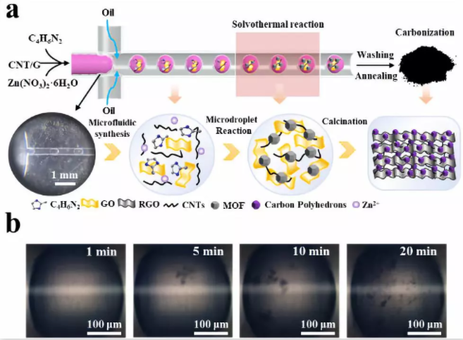 圖2. (a) 微液滴法制備微介孔碳骨架納米材料示意圖；(b) 單個液滴不同反應(yīng)時間的光學照片。