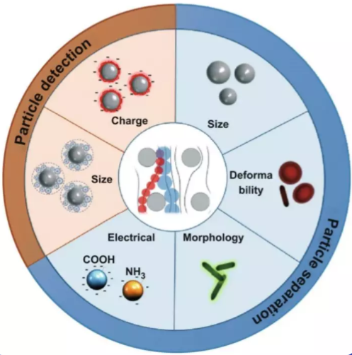 DLD知多少？新加坡NSU綜述帶你了解微流控生物醫(yī)學(xué)新技術(shù)！