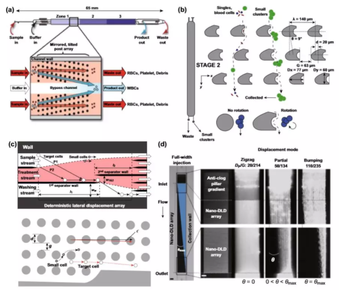 圖3 基于尺寸的DLD分離的應(yīng)用