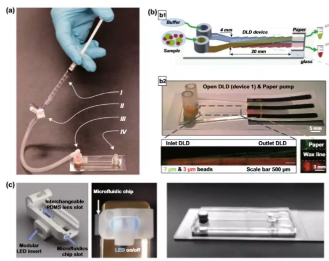 圖5 用于顆粒分離的DLD設(shè)置簡(jiǎn)化。