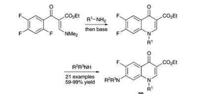 方案13 環(huán)丙沙星類似物庫(kù)的合成30