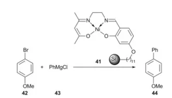 方案19 聚合物負(fù)載催化劑41用于Kumada反應(yīng)