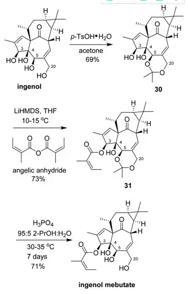 圖9.Ingenol mebutate的合成路線
