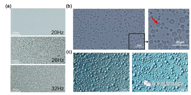 圖3 a) 乳液中液滴的性質(zhì)。(a)不同振動(dòng)頻率下乳液的特性；(b)一個(gè)乳狀液艙內(nèi)的單顆珠子的照片；(c)乳液熱循環(huán)前(左)和熱循環(huán)后(右)的照片。