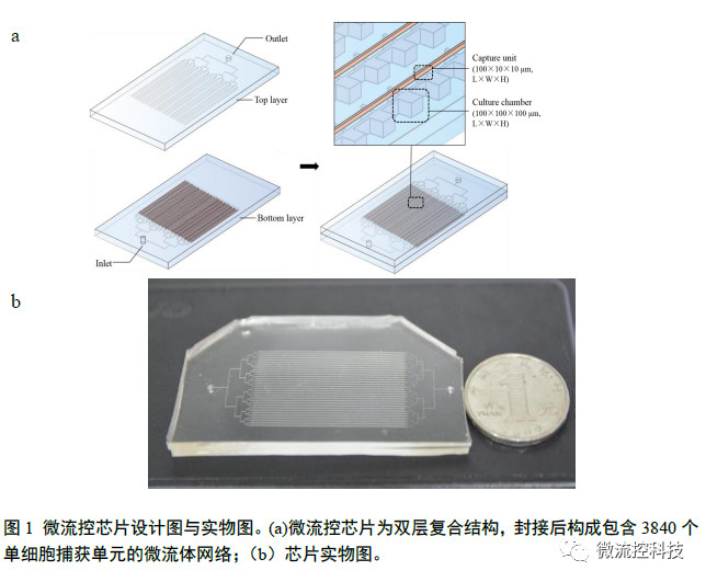 微流控芯片設(shè)計圖與實物圖