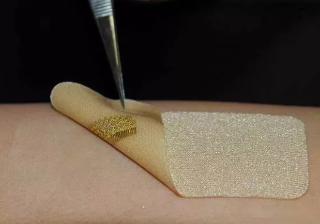 基于微流控技術的新型生物傳感器可用于實時檢測病原菌 基于微流控技術的新型生物傳感器可用于實時檢測病原菌