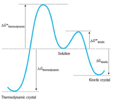 圖3 從溶液到熱力學(xué)和動(dòng)力學(xué)晶體的假設(shè)轉(zhuǎn)變；Δg熱力學(xué)和Δg動(dòng)力學(xué)之間的差異決定了動(dòng)力學(xué)晶體的易形成性