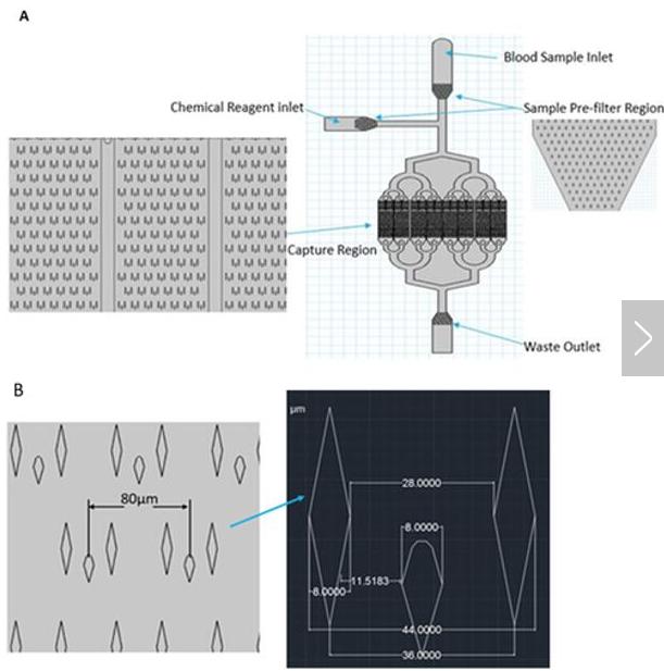 （A）微流控芯片的總體布局；（B）微柱的詳細(xì)尺寸