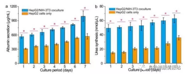 圖片6.png 圖5 肝細胞/成纖維細胞共培養(yǎng)和肝細胞培養(yǎng)的肝臟特異性功能的測定。在七天內測量的HepG2 / NIH-3T3共培養(yǎng)和HepG2培養(yǎng)的a)白蛋白分泌和b）尿素合成。
