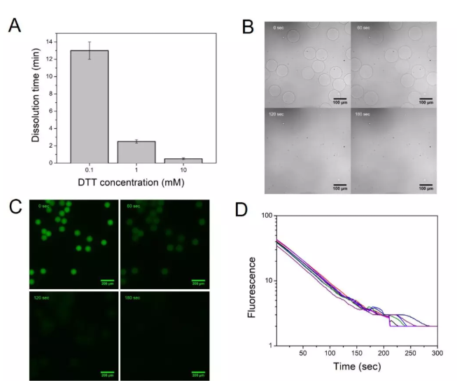 圖2. (A) 微球在不同DTT濃度下的降解時(shí)間，(B)在1 mM DTT存在下0, 60, 120,以及180 s時(shí)微球在顯微鏡下的狀態(tài)，(C)在1 mM DTT存在下0, 60, 120,以及180 s時(shí)標(biāo)記上熒光后的微球的熒光圖像，(D)隨機(jī)選擇8個(gè)微球的熒光強(qiáng)度在降解過程中隨時(shí)間的變化情況