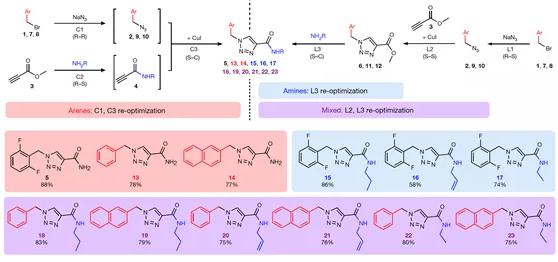 圖 4 利用本方法進(jìn)行盧非酰胺衍生物庫(kù)的合成