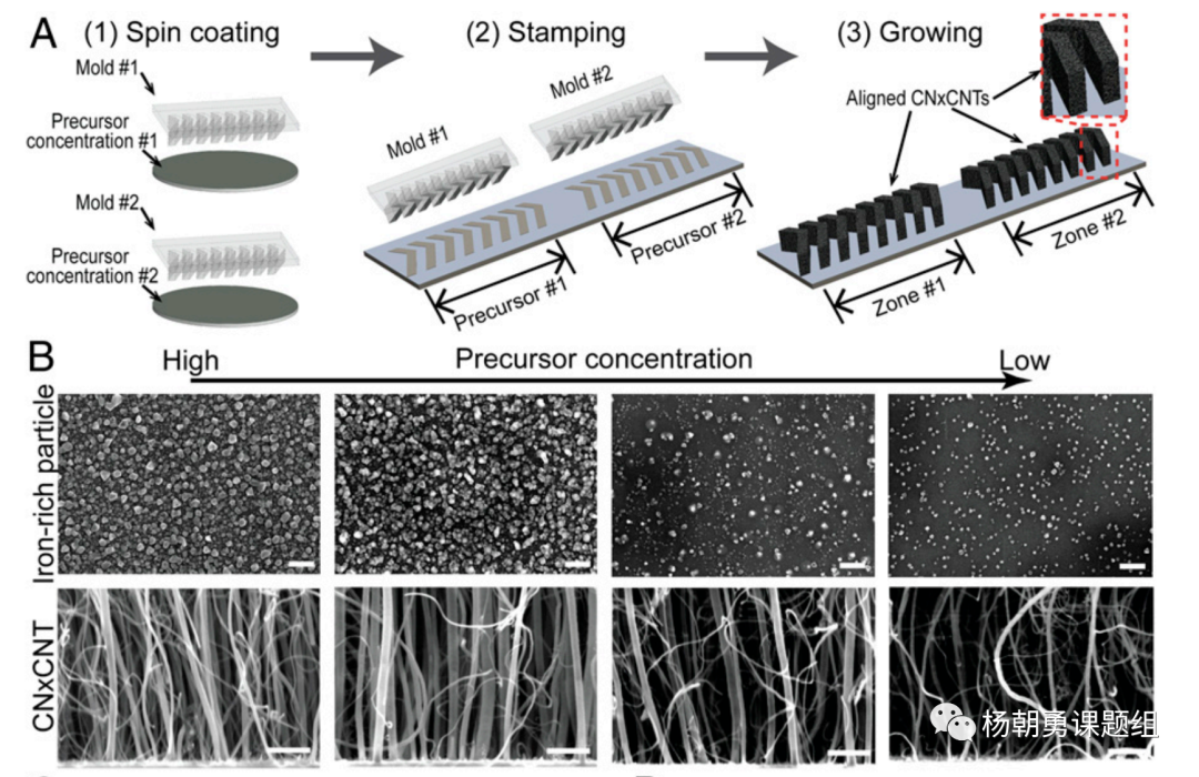 圖 2&nbsp;壓印的方法制作VIRRION及不同內(nèi)部間隙的碳納米管陣列
