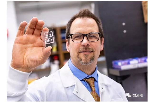 德克薩斯大學(xué)達(dá)拉斯分校的生物工程師與德克薩斯大學(xué)西南醫(yī)學(xué)中心的合作者能夠創(chuàng)建角膜組織模型，并利用它們來(lái)研究受損眼睛是如何愈合的。