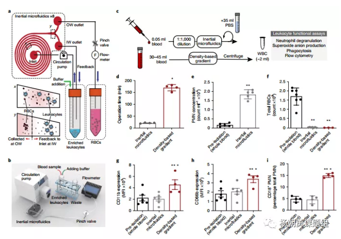 圖1 慣性微流控系統(tǒng)用于分離全血中的白細(xì)胞原理圖，及其與密度梯度離心法分離效果的對(duì)比