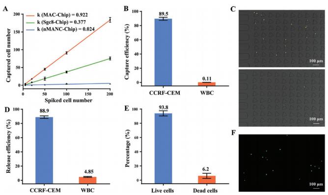 圖3 芯片的細(xì)胞捕獲和釋放性能表征