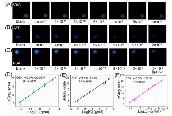 圖2 檢測區(qū)1(A)、2(B)和3(C)號在不同濃度的CEA、AFP和PSA存在時的堆疊圖片。CEA (D)、AFP (E)、PSA(F)為視頻檢測模式的代表性校準(zhǔn)曲線