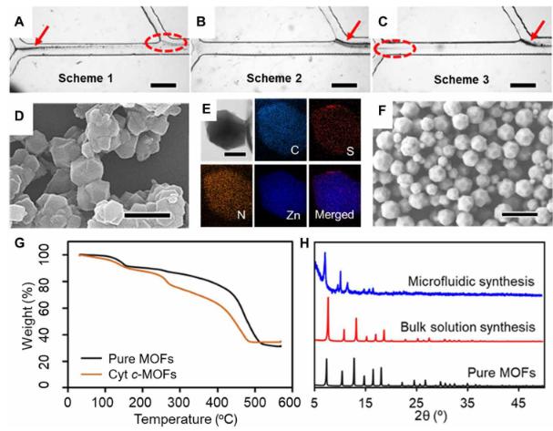 微流體合成Cyt c-MOF復(fù)合物的、結(jié)構(gòu)、形貌等示意圖