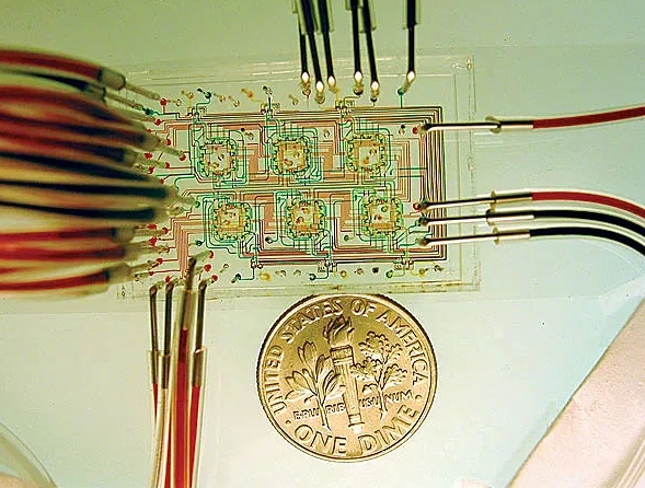 微流控芯片。圖片來源：Nature 