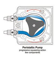 圖1：蠕動(dòng)泵