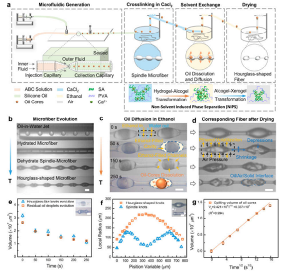 微流控沙漏型微纖維材料制備過(guò)程