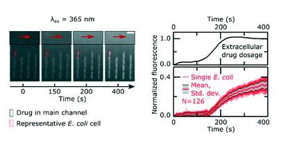 單細胞微流控技術(shù)幫助對抗抗生素耐藥性