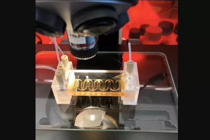 低成本的微流體傳感器用于水質(zhì)監(jiān)測(cè)