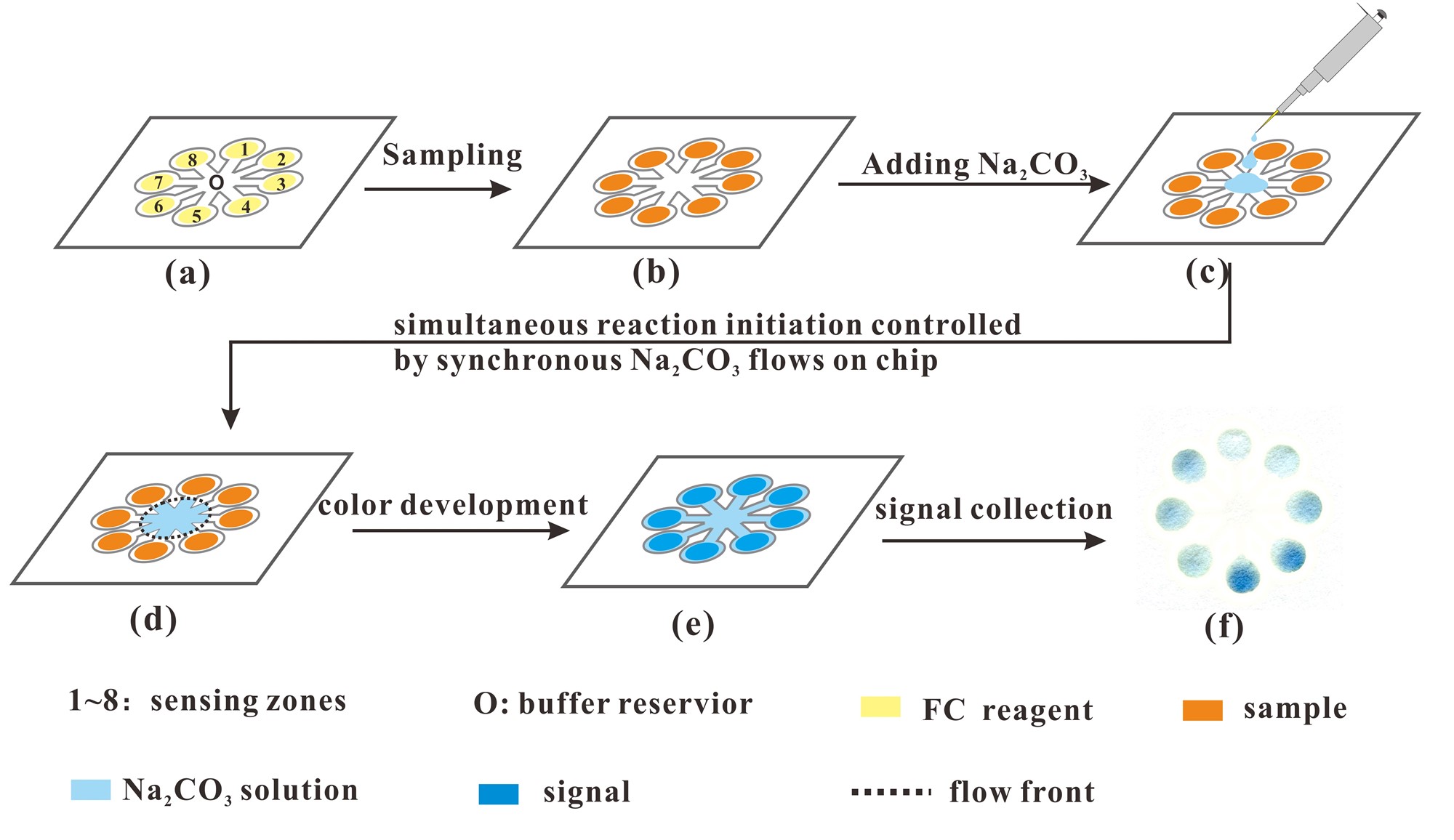微流控紙芯片技術(shù) 10分鐘可測(cè)出茶多酚含量