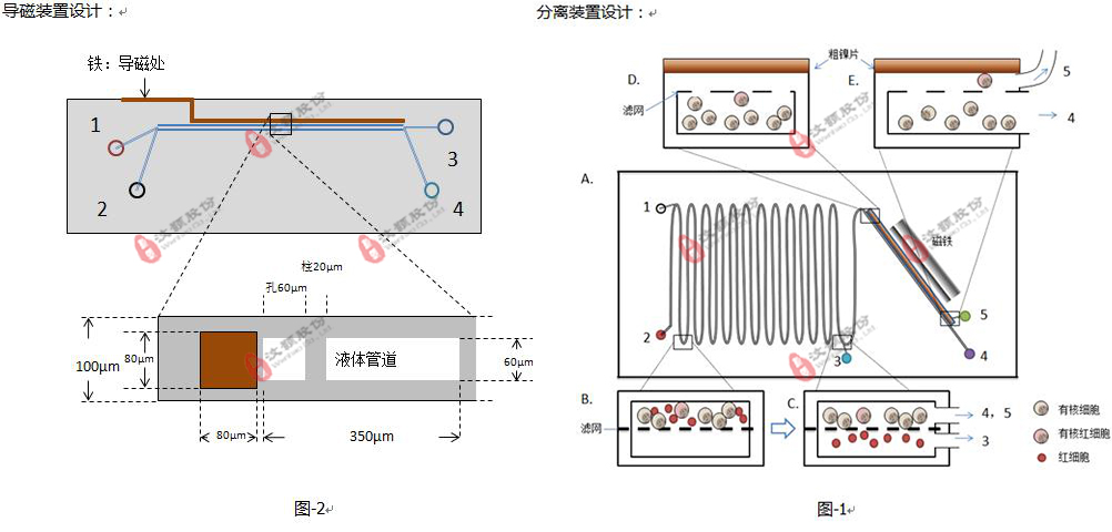 基于微流控平臺的有核紅細胞分析系統(tǒng)委托開發(fā) 基于微流控平臺的有核紅細胞分析系統(tǒng)委托開發(fā)