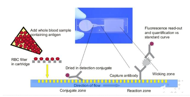 1666666171530140.png 圖片1.png
