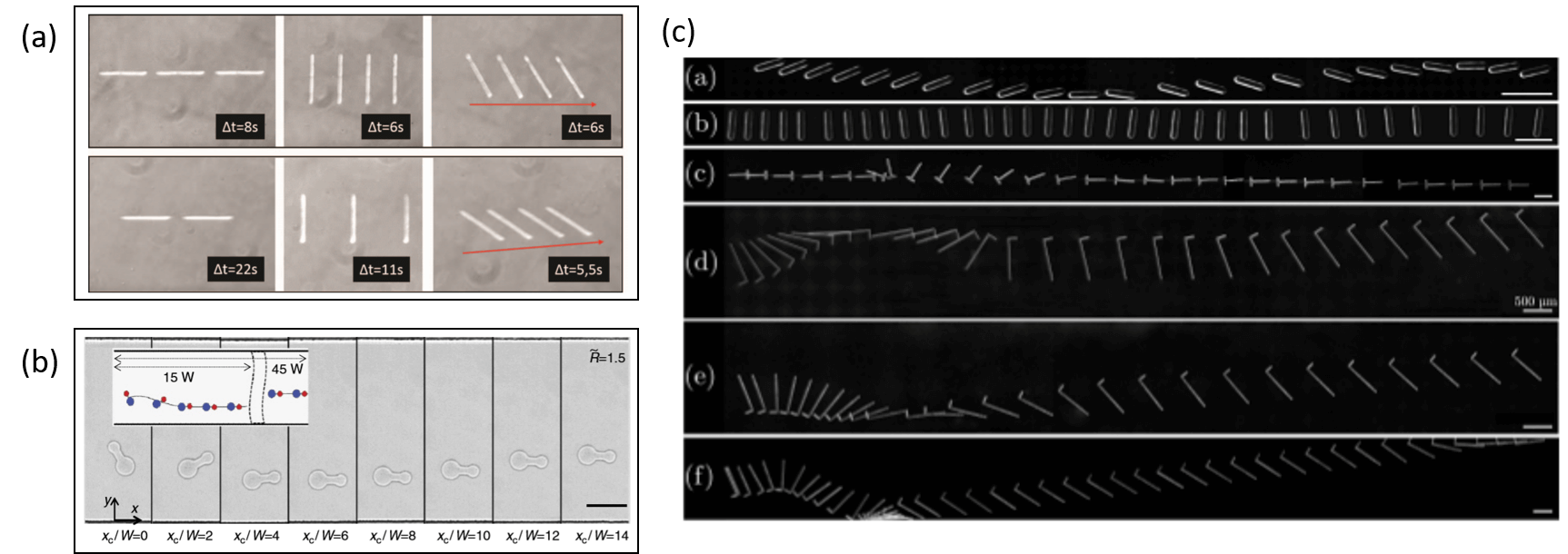 1671006241411796.png 1671006241411796.png