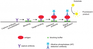 1674890781822740.png 6.png