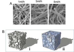 1674979350719052.png 6.png