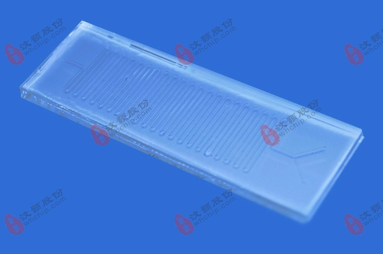 1683767933797826.png PCR芯片.png