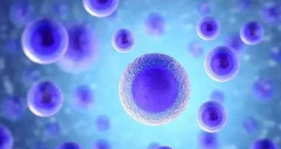 1695610354916962.png 微信截圖_20230919153109.png