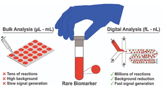 1709271232530081.png 圖片6.png