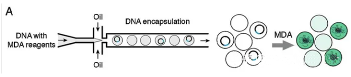 1709271357405503.png 圖片2.png