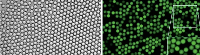 1709271528547944.png 圖片7.png