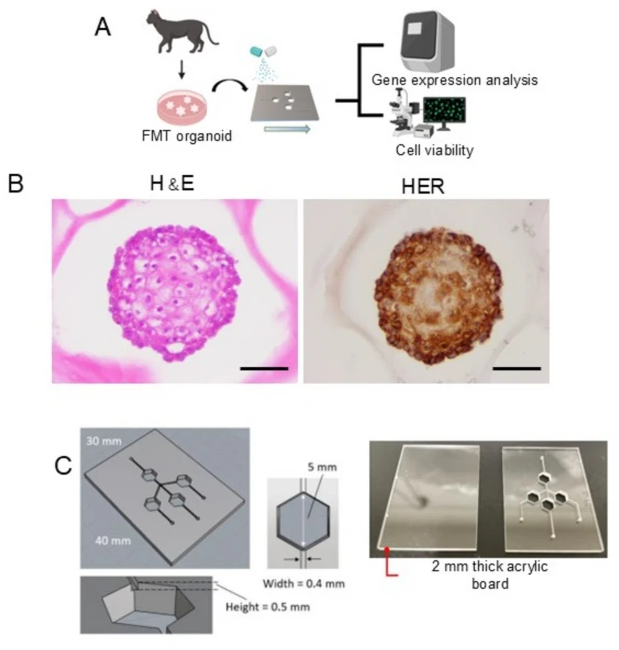 1736821188927041.png 1736821188927041.png