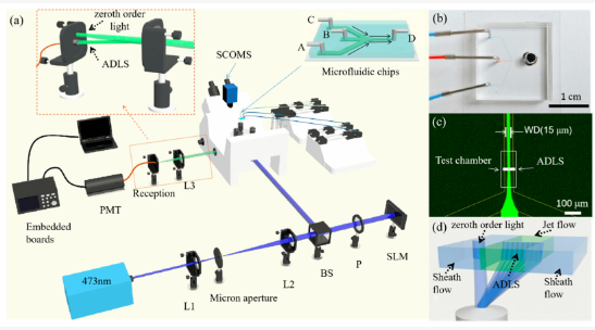 1738982815497186.png 圖片2.png
