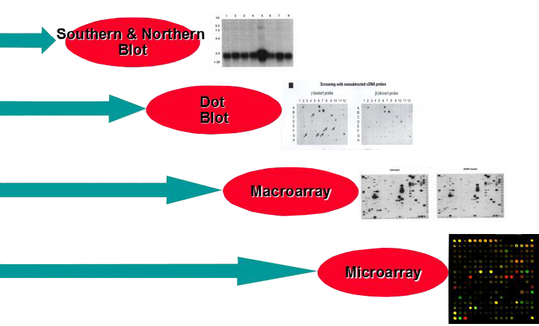微流控芯片|微流控芯片批量加工